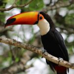 13 Most Sustainable Costa Rican Eco Lodges (UPDATED)