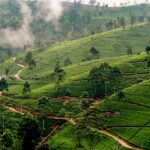 11 Most Sustainable Eco-Lodges in Sri Lanka