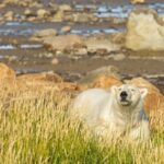 8 Most Sustainable Eco-Lodges in Manitoba